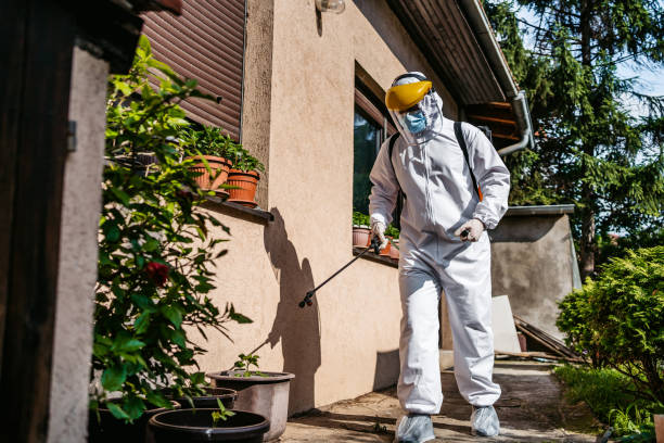 Wasp Removal Services in Nazareth, PA