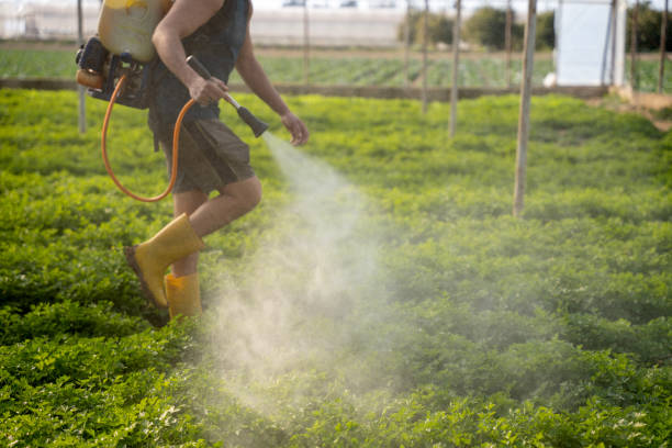 Pest Prevention Services in Nazareth, PA