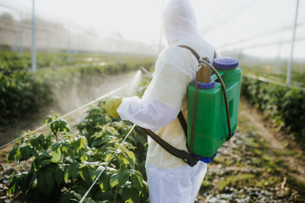 Best Flea Control Services  in Nazareth, PA